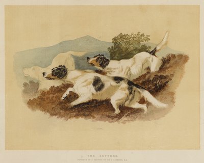 Les Setters - Edwin Landseer